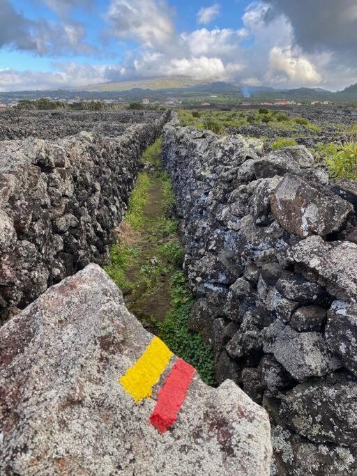 Pico Island Villas Madalena  Buitenkant foto